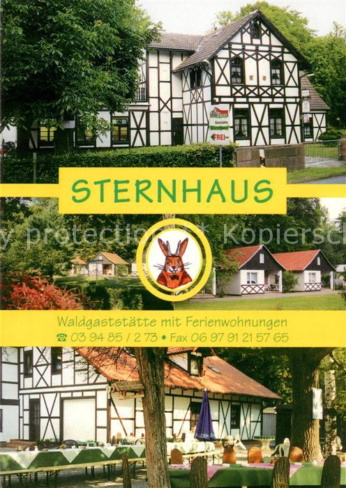 Gernrode Harz Hotel Waldgaststaette Sternhaus Terrasse