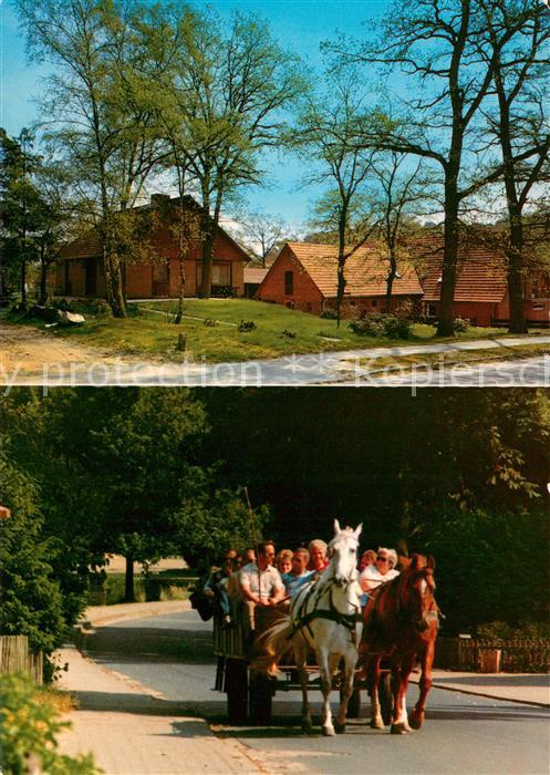 Undeloh Ferienhaus Pension Schroeder Kutschfahrten