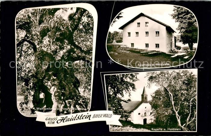 Haidstein Wolframlinde Forsthaus und Kapelle am Haidstein