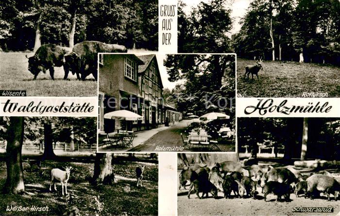Eldagsen Deister Waldgaststaette Holzmuehle Wisente Rothirsch Weisser Hirsch Sch