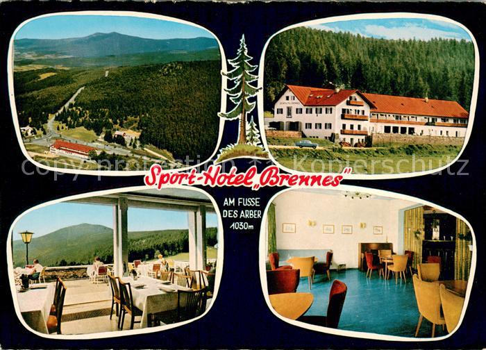 Bayerisch Eisenstein Sport Hotel Brennes Gastraeume Panorama