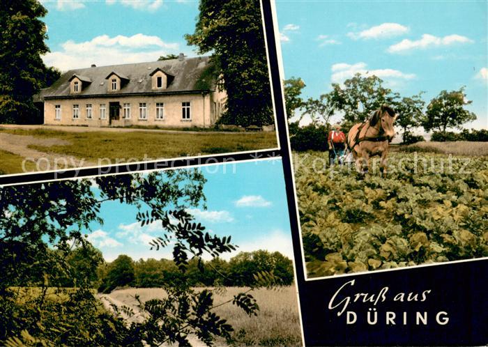 Duering Bauernhaus Panorama Pfluegen mit Pferd