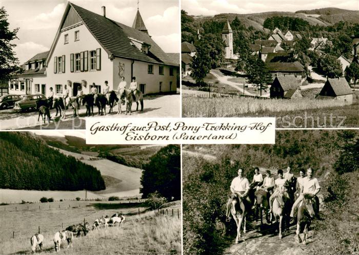 Eisborn Gasthof zur Post Pony Trekking Hof