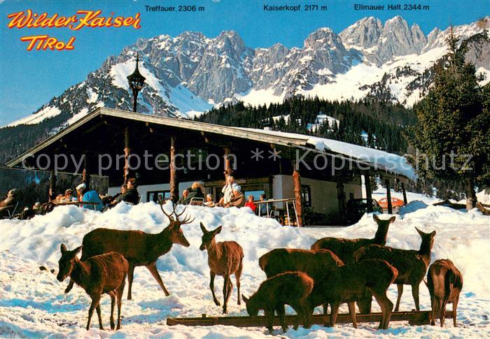 Ellmau Tirol Wochenbrunner Alm mit Wildpark