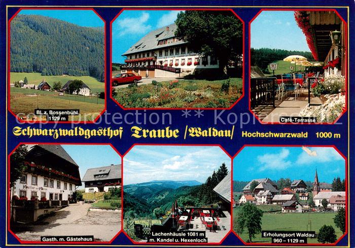 Waldau Titisee-Neustadt Schwarzwaldgasthof Traube Cafe Terrasse Gaestehaus Lache