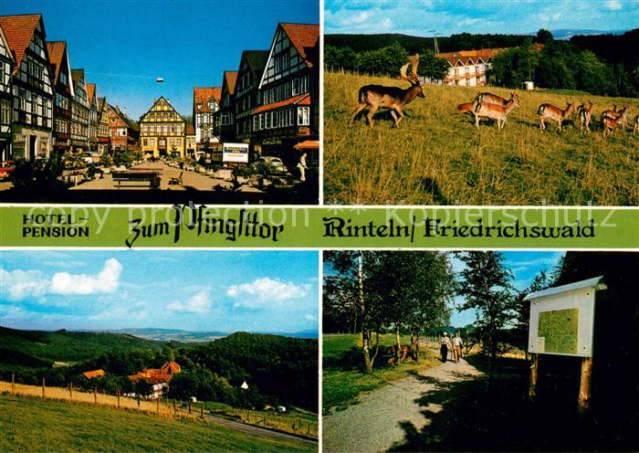 Friedrichswald Rinteln Hotel Pension Zum Pfingsttor Ortspartie Rotwild Panorama