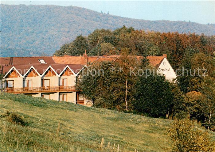 Friedrichswald Rinteln Hotel Pension Zum Pfingsttor