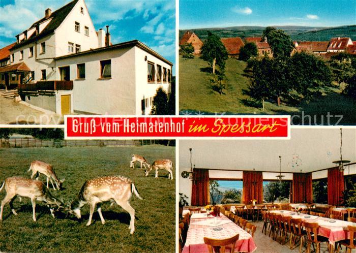 Heimbuchenthal Gasthaus Pension Heimatenhof Gastraum Rotwild
