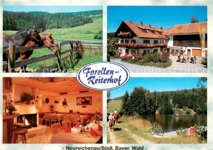 Neureichenau Forellen Reiterhof Fam Schanzer Gaststube Weiher