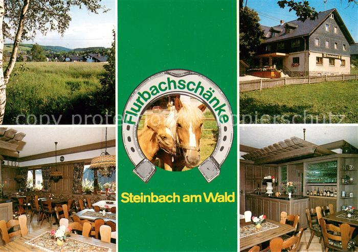 Steinbach Kronach Flurbachschaenke Gaststube Theke Panorama