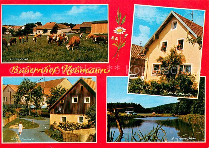 Friedersreuth Rinderherde Bauernhaus Ferienhaus Badeweiher