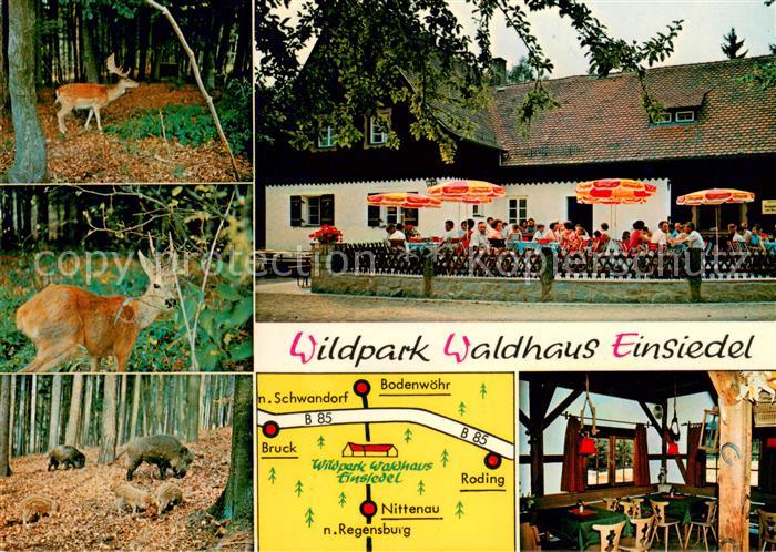 Nittenau Wildpark Waldhaus Einsiedel Reh und Schwarzwild