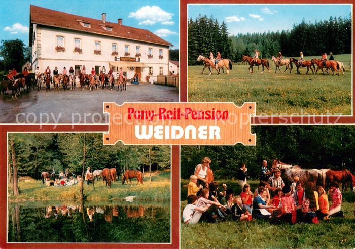 Steinbach Marktleugast Pony Reit Pension Weidner Teilansichten