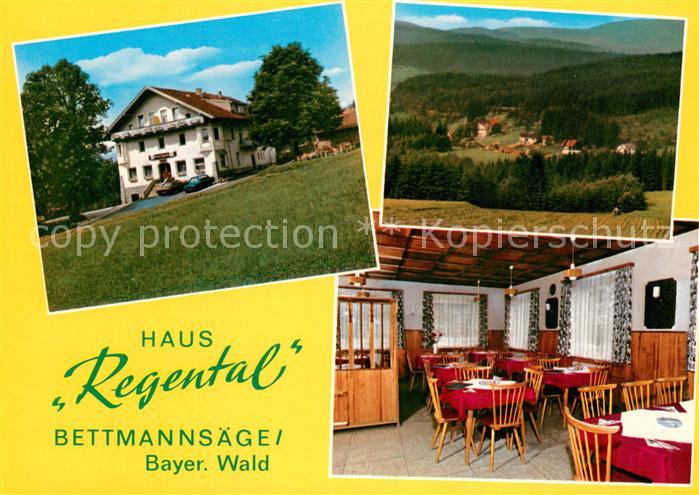 Bettmannsaege Regen Gaststaette Haus Regental Panorama Gaststube