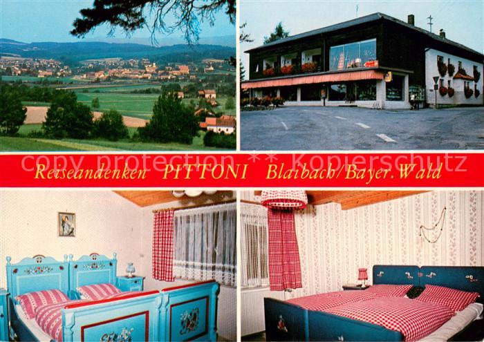 Blaibach Pittoni Ferienwohnungen Panorama