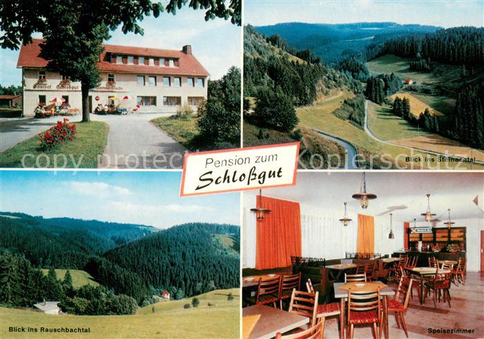Schlopp Gasthaus Pension zum Schlossgut Speisezimmer Landschaftspanorama Rauschb