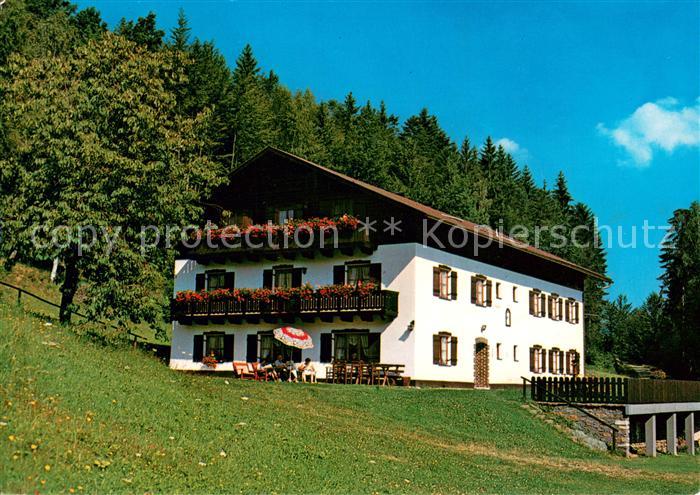 Simmereinoede Hohenwarth Pension Dachs im Bayerischen Wald