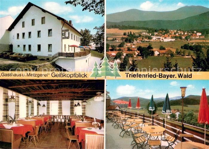 Triefenried Niederbayern Gasthaus Metzgerei Geisskopfblick Restaurant Terrasse P