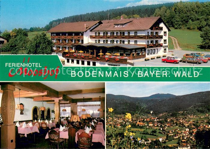 Bodenmais Hotel Restaurant Mooshof Panorama Bayerischer Wald