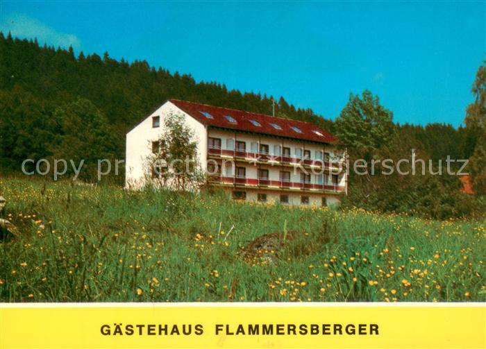 Beiwald Spiegelau Gaestehaus Flammersberger Tor zum Nationalpark Blumenwiese