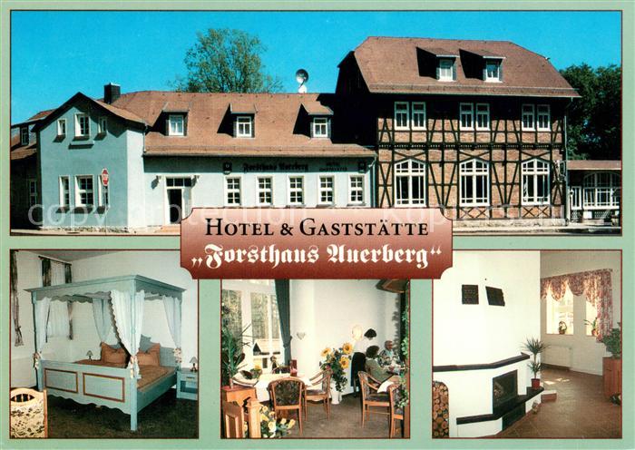 Stolberg Harz Hotel Gaststaette Forsthaus Auerberg Fremdenzimmer Kamin