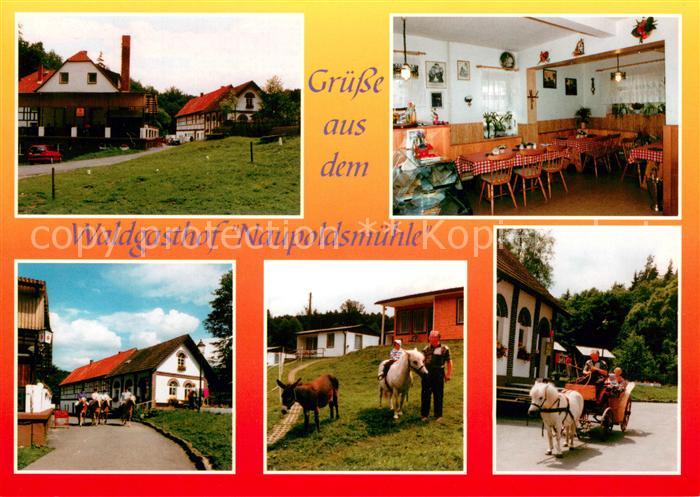 Eisenberg Thueringen Waldgasthof Naupoldsmuehle Ponykutsche Ponyreiten