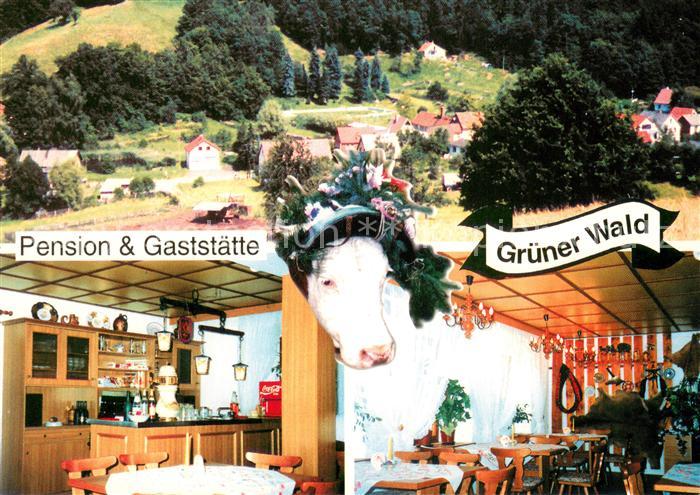 Langendembach Pension Gaststaette Gruener Wald Restaurant Kuh Ortsansicht