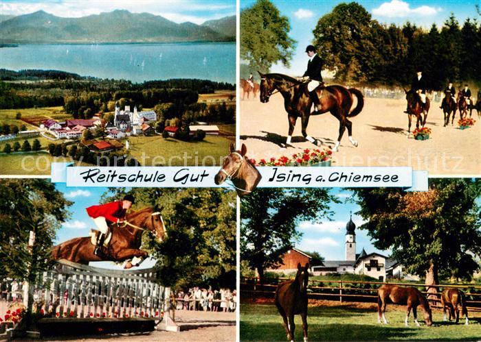 Ising Chiemsee Reitschule Gut Springreiten Dressurpruefung Reitturnier Pferdekop