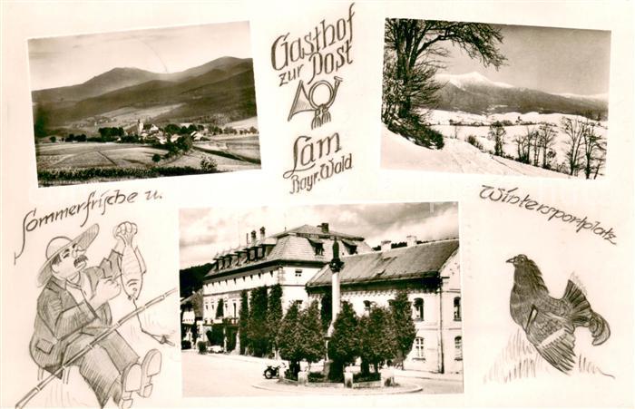 Lam Oberpfalz Gasthof Zur Post Panorama