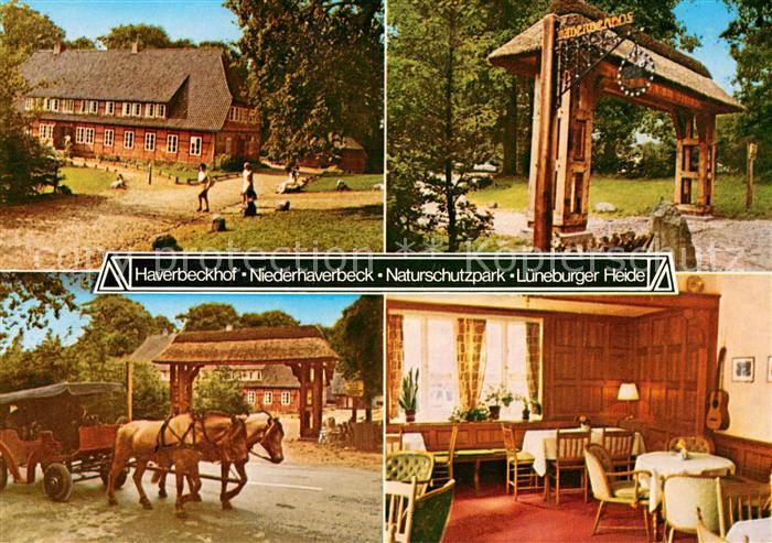 Niederhaverbeck Gasthof Haverbeckhof Eingang Pferdewagen Gaststube