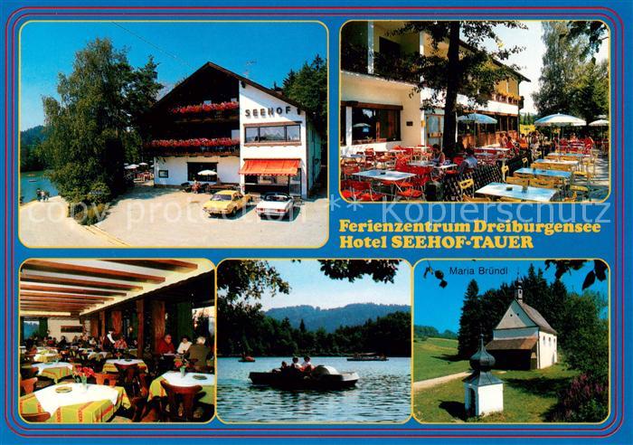 Rothau Dreiburgensee Ferienzentrum Dreiburgensee Hotel Seehof Tauer Terrasse Gas