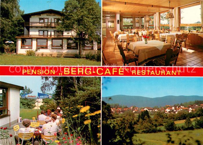 Langdorf Regen Pension Berg Cafe Restaurant Terrasse Panorama