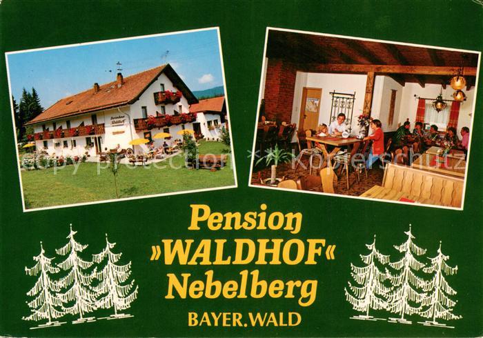 Langdorf Regen Pension Waldhof Nebelberg Gaststube