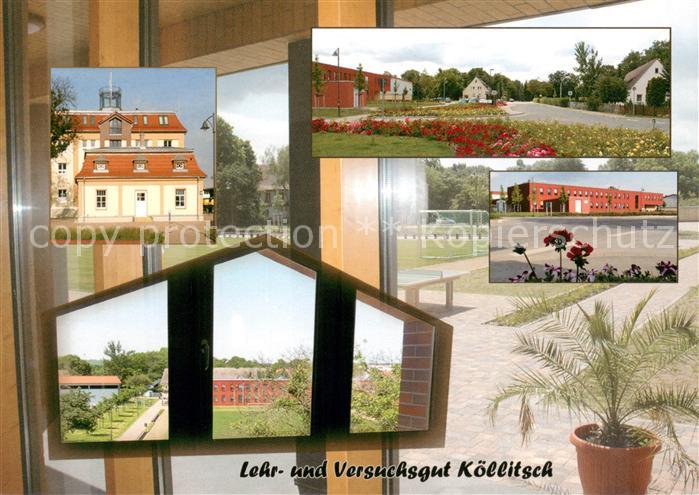 Koellitsch Lehr und Versuchsgut Koellitsch Details