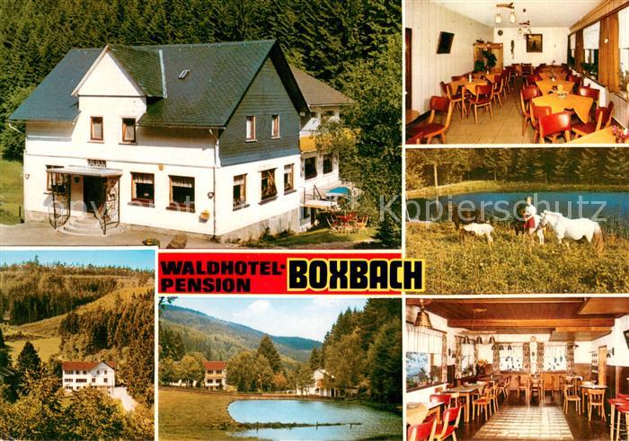 Boxbach Waldhotel Pension Boxbach Gastraeume Badesee