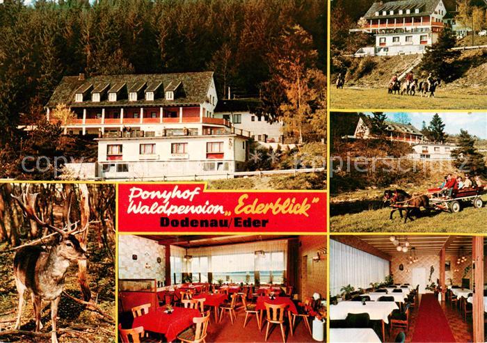 Dodenau Ponyhof Waldpension Ederblick Gastraeume Hirsch Pferdekutsche