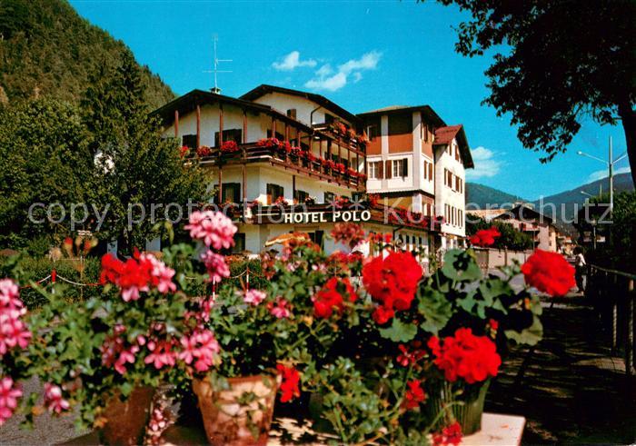 Ziano di Fiemme Hotel Polo