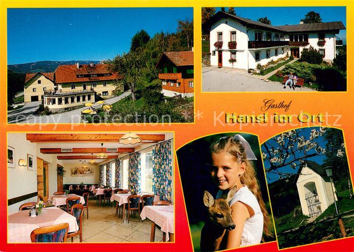 Aspang-Markt Gasthof Hansl im Ort Gaststube Kind mit Reh Bildstock
