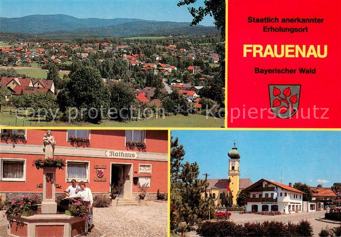 Frauenau Panorama Rathaus Brunnen