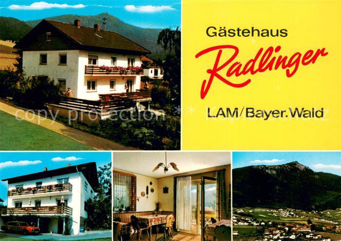 Lam Oberpfalz Gaestehaus Radlinger Gaststube Panorama