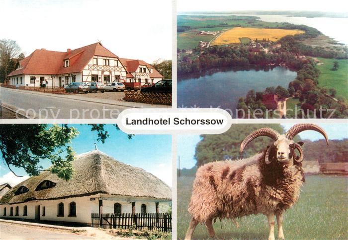 Schorssow Landhotel Schorssow Fliegeraufnahme Mufflonschaf