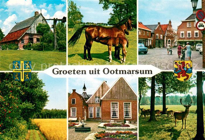Ootmarsum Teilansichten Alte Haeuse Bauernhof Landschaftspanorama Wild Hirsch Pf