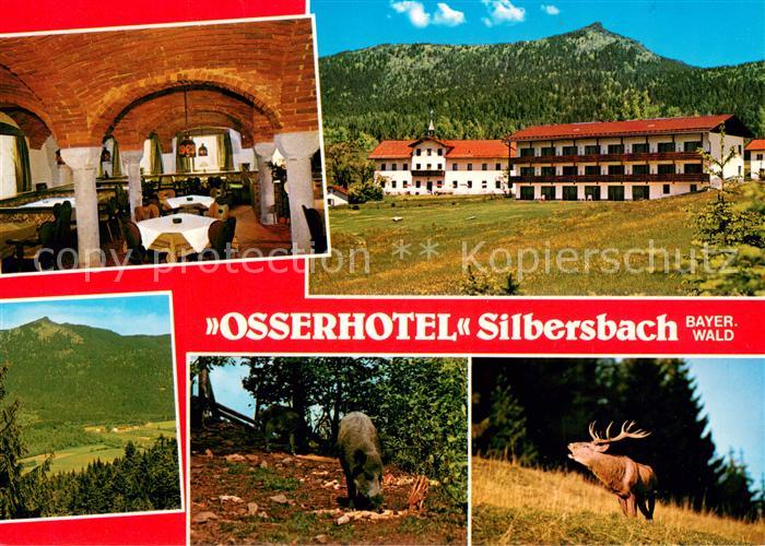 Silbersbach Osserhotel Restaurant Landschaftspanorama Wildschein Hirsch