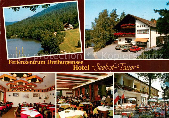 Rothau Dreiburgensee Ferienzentrum Dreiburgensee Hotel Seehof Tauer Restaurant L
