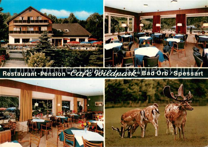 Bad Orb Restaurant Pension Cafe Wildpark Rehe Hirsch
