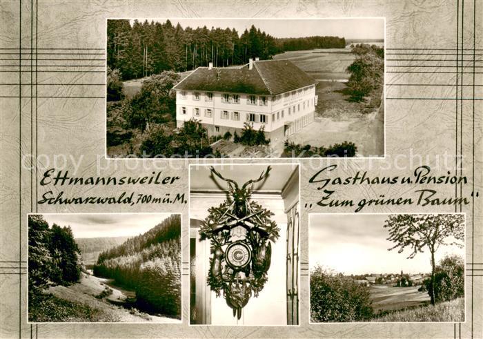 Ettmannsweiler Gasthaus Pension Zum gruenen Baum Landschaftspanorama Schwarzwald