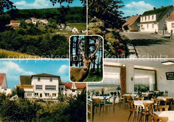 Schellbach Knuellwald Cafe Pension Talblick beim Wildpark Knuell Hirsch