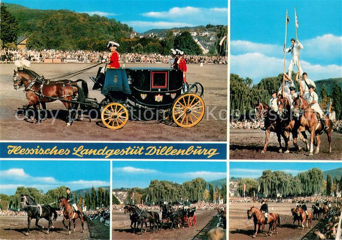 Dillenburg Hessisches Landgestuet Hengstparade Postkutsche Quadrille