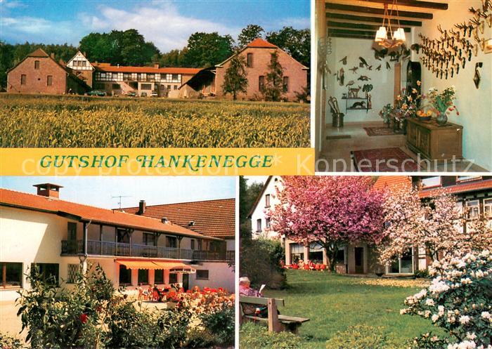 Bentorf Ferien auf dem Gutshof Hankenegge Baumbluete