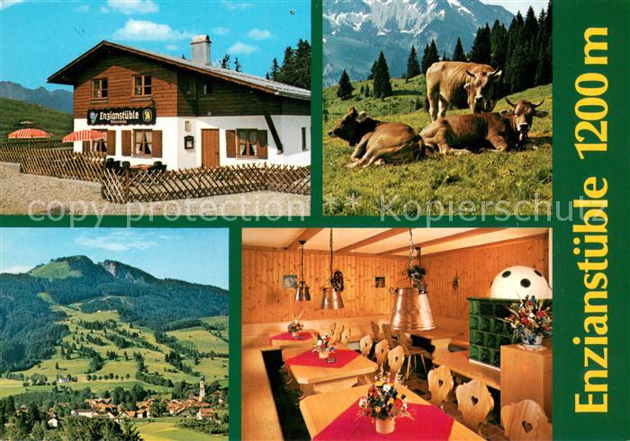 Nesselwang Allgaeu Bayern Enzianstuebele Gaststaette Almvieh Kuehe Landschaftsp